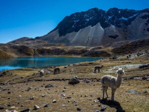 7 Lagunas Ausangate